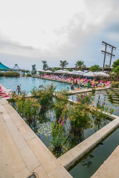 Edde Sands on Sunday